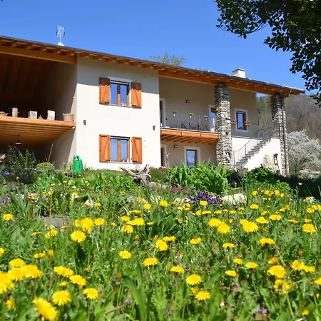 Semi Al Vento: La Bio-casa Nel Giardino Incantato! *