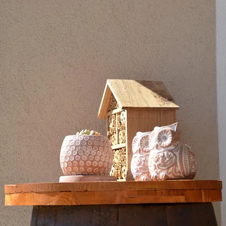 Appartamento Semi Al Vento: La Bio-casa Nel Giardino Incantato!