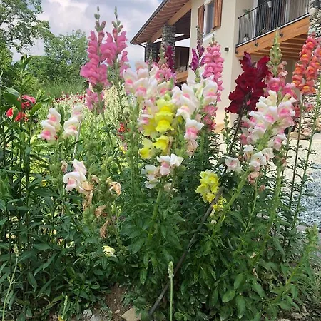 Semi Al Vento: La Bio-casa Nel Giardino Incantato! 아파트