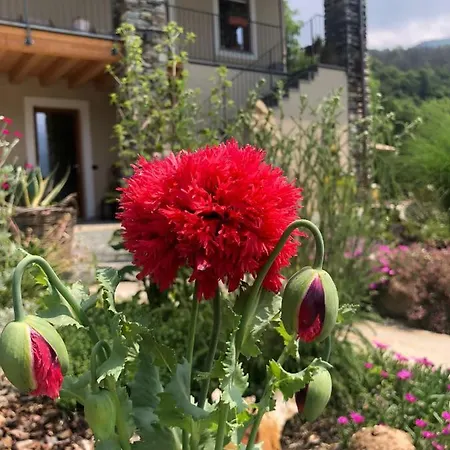 아파트 Semi Al Vento: La Bio-casa Nel Giardino Incantato! Paesana