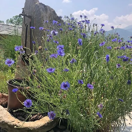 Semi Al Vento: La Bio-casa Nel Giardino Incantato! * Paesana