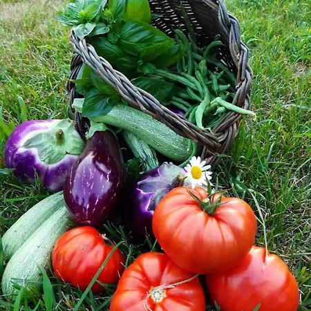 아파트 Semi Al Vento: La Bio-casa Nel Giardino Incantato!