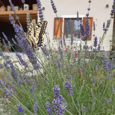 Semi Al Vento: La Bio-casa Nel Giardino Incantato! Appartamento *