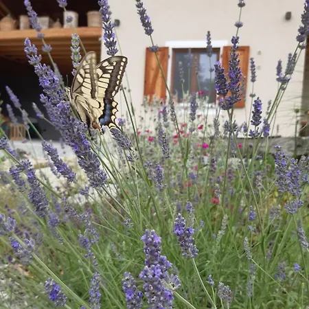 Semi Al Vento: La Bio-casa Nel Giardino Incantato! شقة *