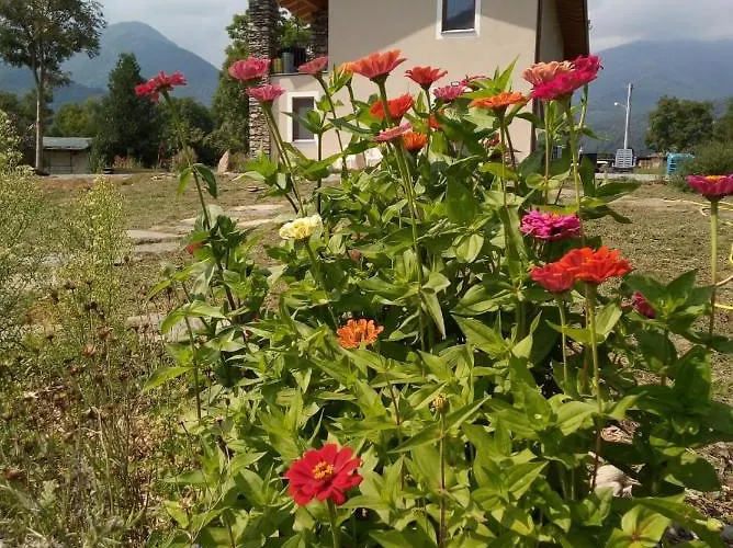 Semi Al Vento: La Bio-casa Nel Giardino Incantato! Paesana