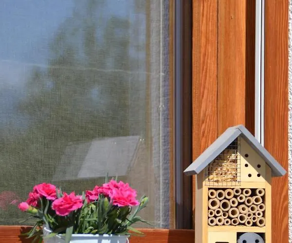 Semi Al Vento: La Bio-casa Nel Giardino Incantato! Paesana