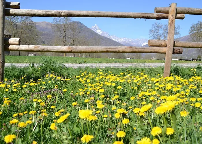 Semi Al Vento: La Bio-casa Nel Giardino Incantato! Appartement *