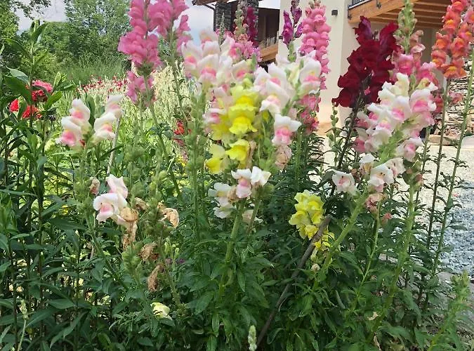 Semi Al Vento: La Bio-casa Nel Giardino Incantato! דירה