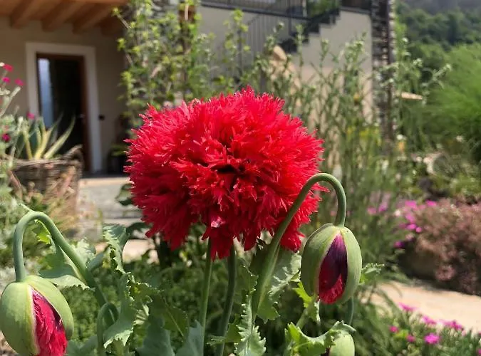 Appartement Semi Al Vento: La Bio-casa Nel Giardino Incantato! Paesana