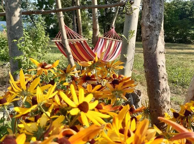 Semi Al Vento: La Bio-casa Nel Giardino Incantato! Appartement