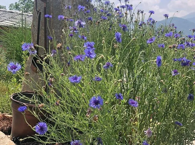 Semi Al Vento: La Bio-casa Nel Giardino Incantato! * Paesana