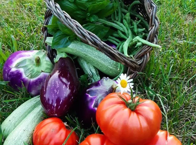 Appartement Semi Al Vento: La Bio-casa Nel Giardino Incantato!