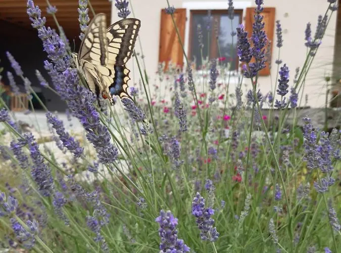 Semi Al Vento: La Bio-casa Nel Giardino Incantato! Appartement *